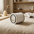 HEPA Vacuum Cleaner Canister Filter on carpet